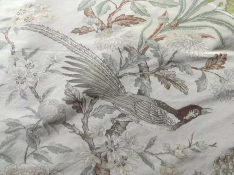 s-l1600 (7) 1.1y Scalamandre Oiseau des Exotique 100% Silk Warp Print Bird Beige Cream