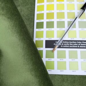 Sample by Express to Germany Scalamandre Velvet Mohair Silk Juicy Sweet Greens MSRP USD800+/y (Copy)