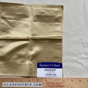WhatsApp Image 2024-09-13 at 08.17.15_ae2a9c4c Tassinari and Chatel Scalamandre Emotion Champagne Beige Silk Satin Plain Solid MSRP USD 1392/y Special Order