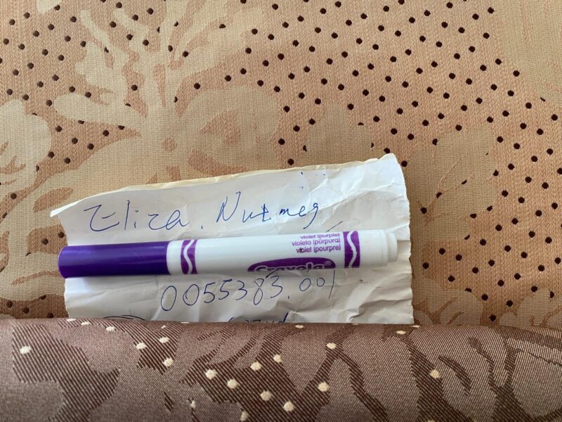 WhatsApp Image 2024-09-27 at 07.36.40_81e19b9c Lee Jofa Mulberry Home Eliza Nutmeg Copper Gold Rose MSRP USD 250/Y