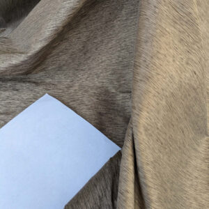 PXL_20241009_175614631 by yard Scalamandre Diffusion Taffeta Mocha Brown Iridescent Silk Taffeta Texture MSRP USD294/y