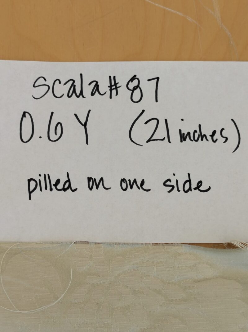 PXL_20250129_215929590 0.6Y Scalamandre Beige Damask French Court Silk Renaissance