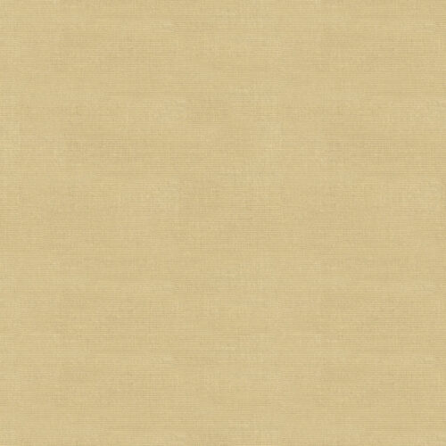 8012112_1 Special Order Brunschwig & Fils Le Jardin Chinois Zina Moire - Cream Cotton