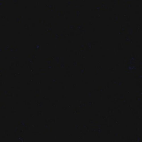 DG-07400_002 Special Order Donghia Mohair -  Sapphire Dark Navy Blue Velvet Cotton MSRP USD388/y