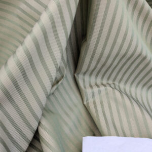 PXL_20250521_210846662 Scalamandre Chopin Stripe Reseda Green Bay Grey Green Silk Cotton MSRP USD 240/Yard