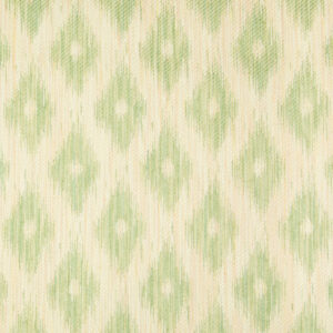 8017139_3 Scalamandre Pillow Case Square Seychellies Tape Palm Green Solid Ikat 23"x24" inches 12-Ev49