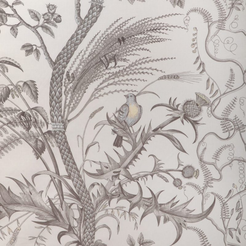 BR-79431_11 Brunschwig & Fils Bird & Thistle Print Grey - by the yard MSRP USD316/y