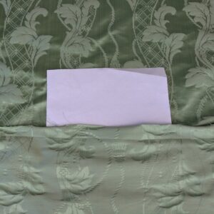 PXL_20250812_181513222 By yard Tuscany Acanthus Silk Damask Stripe Foliage Minty Green Aqua MSRP USD 356/yard